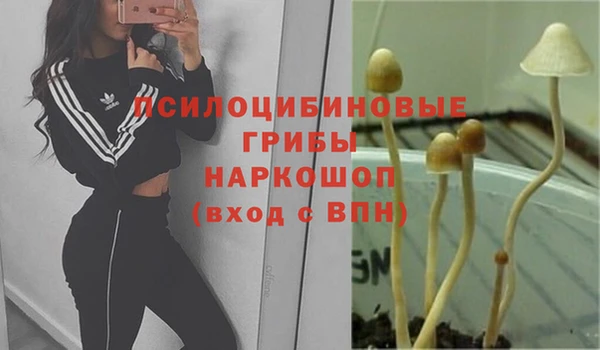 амфетамин Волосово